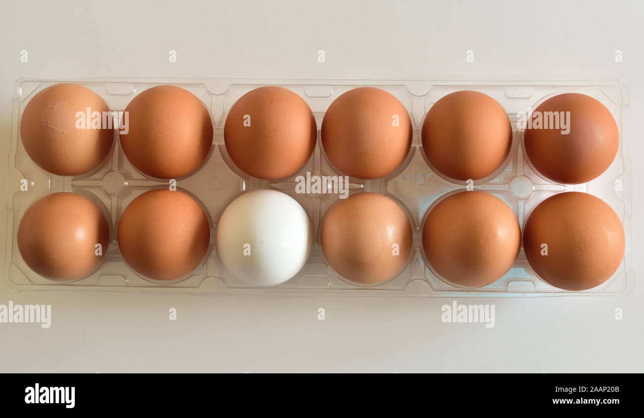 Isolated closeup of eleven brown and one white egg in center Stock Photo