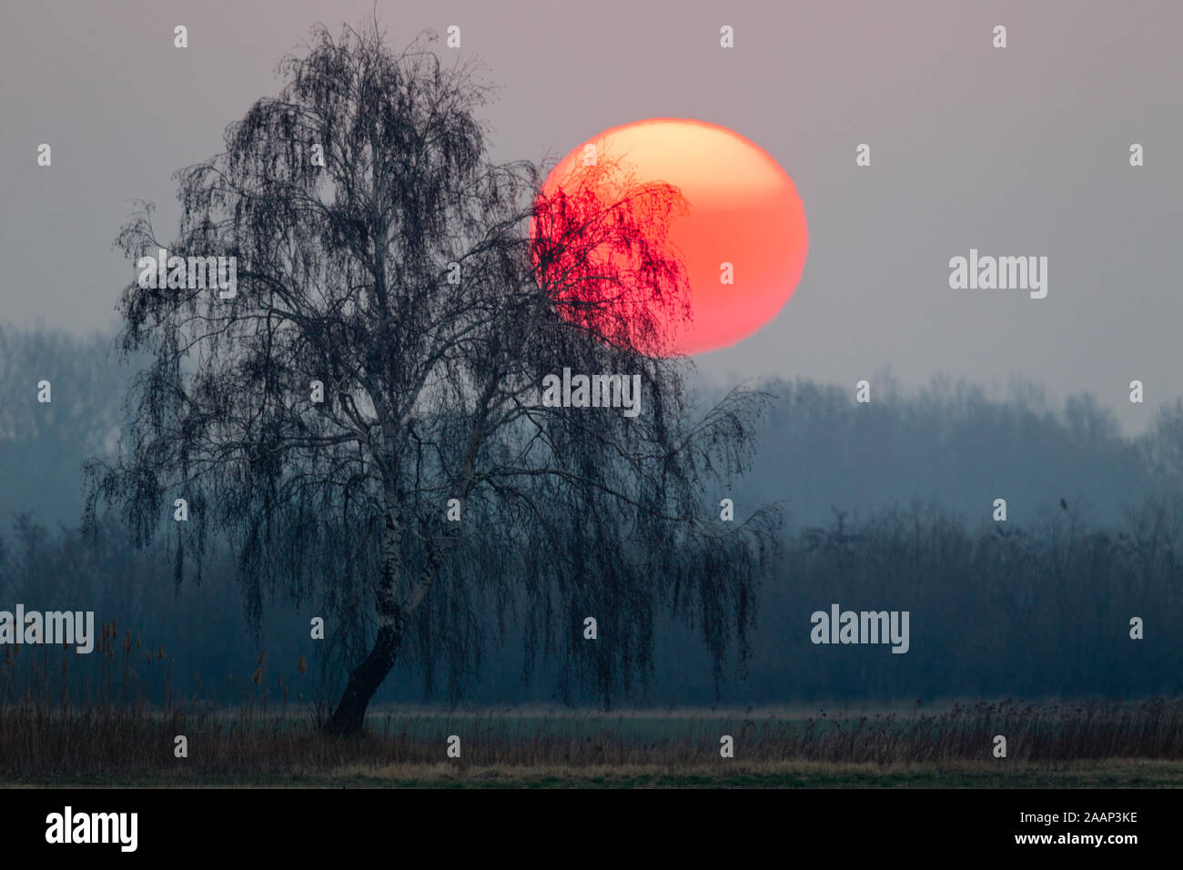 Sonnenaufgang im Hansag Stock Photo