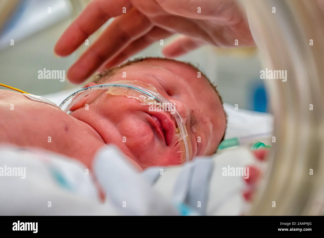 nasal cannula stickers