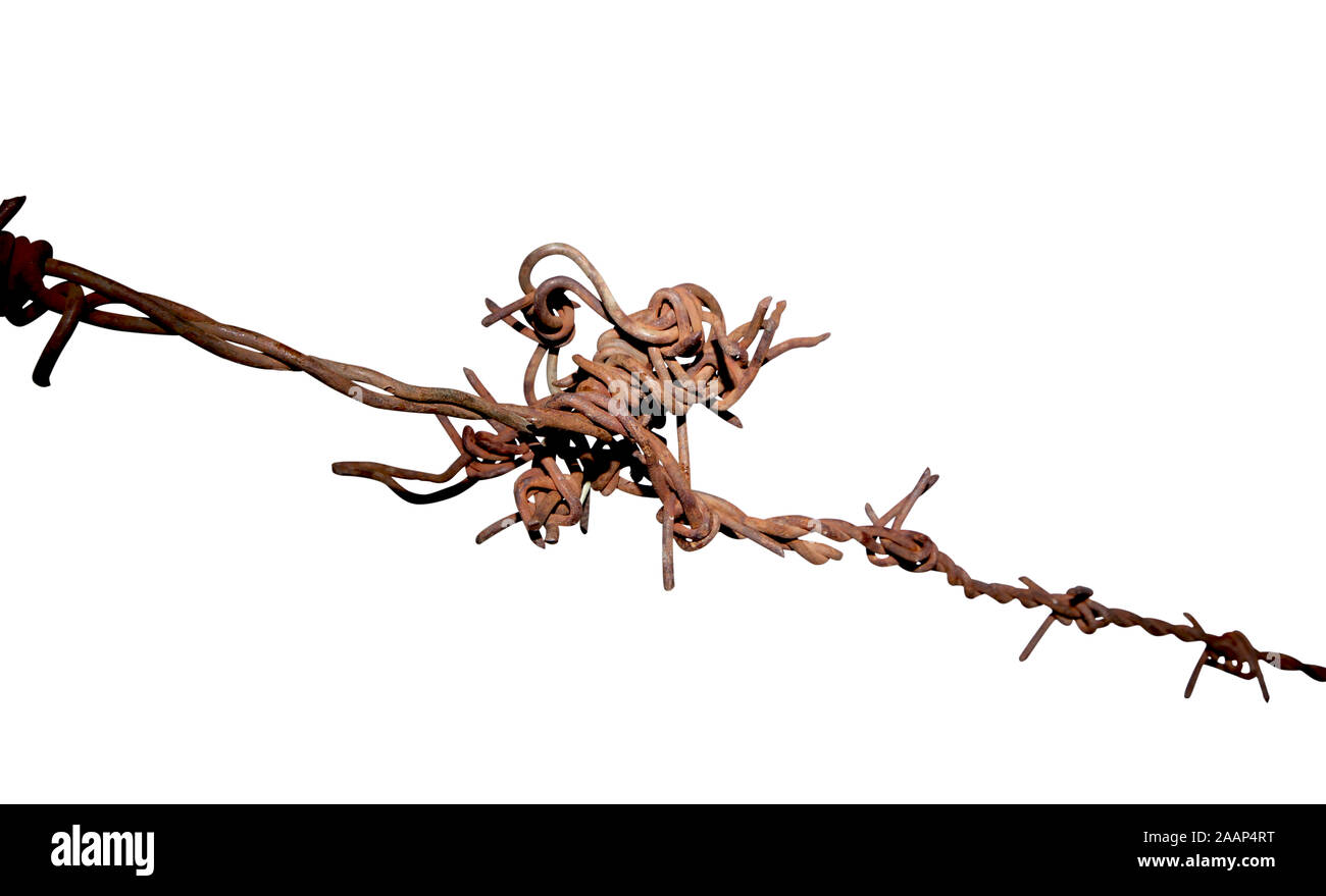 Blood For Blood On Barbed Wire, Symbol Of Freedom And Civil