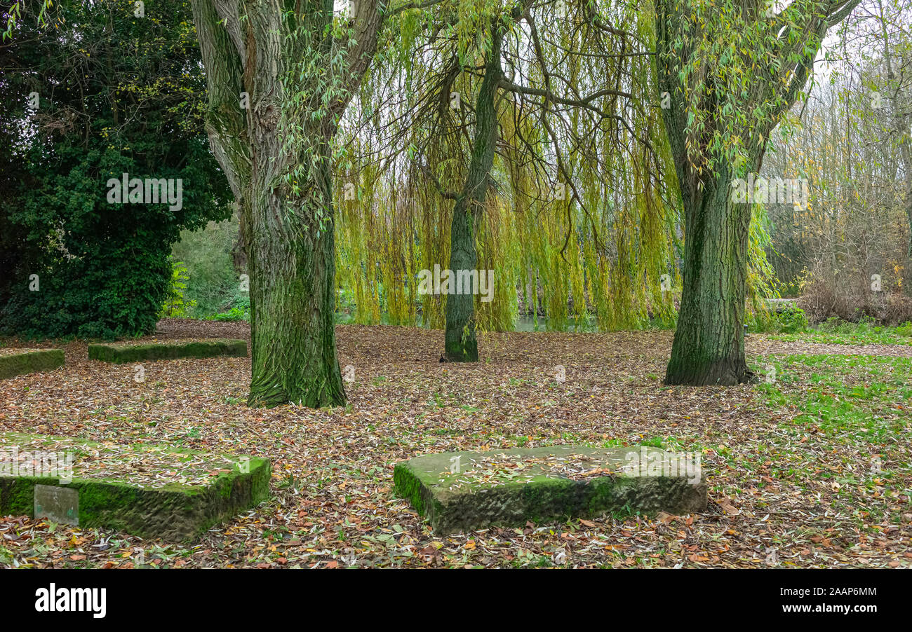 Beverley, Yorkshire, UK. Trees and colourful leaves and rock boulders alongside canal bank in autumn in Beverley, Yorkshire, UK. Stock Photo