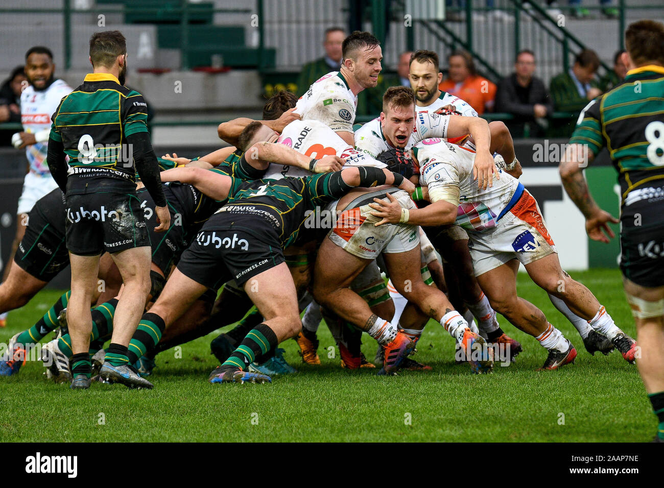 Benetton Treviso Rugby High Resolution Stock Photography and Images - Alamy