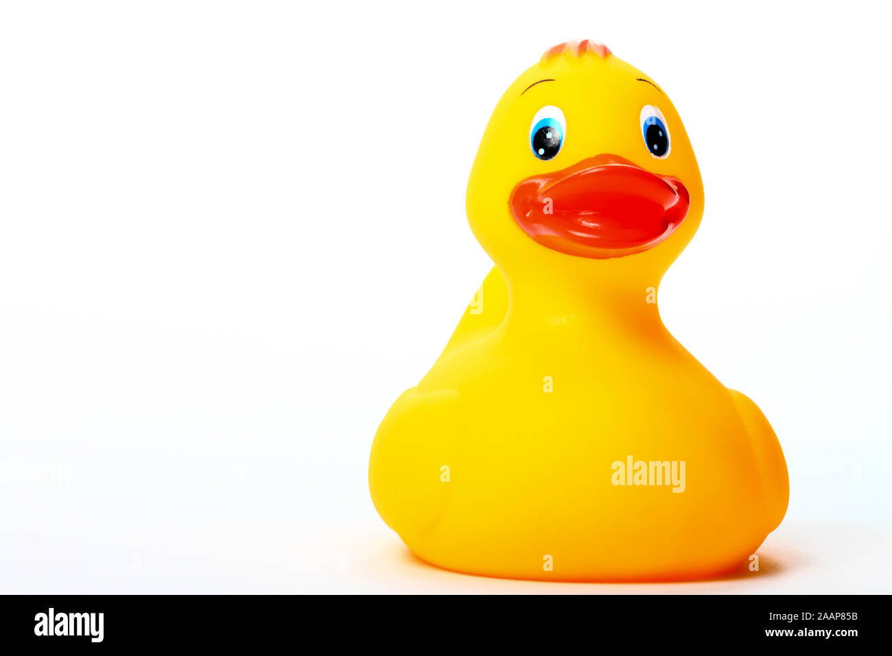 bathtime ducks