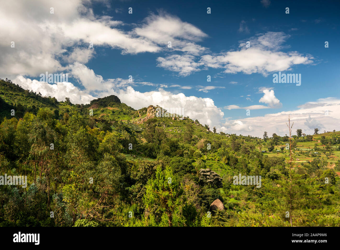 Ethiopia, Rift Valley, Gamo Gofo Omo, Arba Minch, Dorze Holowo, escarpment Stock Photo
