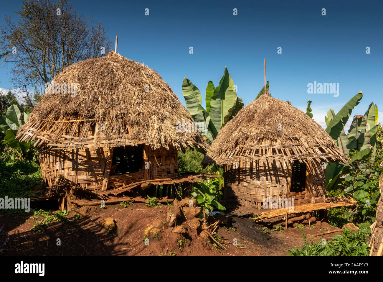 Ethiopia, Rift Valley, Gamo Gofo Omo, Arba Minch, Dorze village, traditional round store houses with woven sides and thatched roof Stock Photo