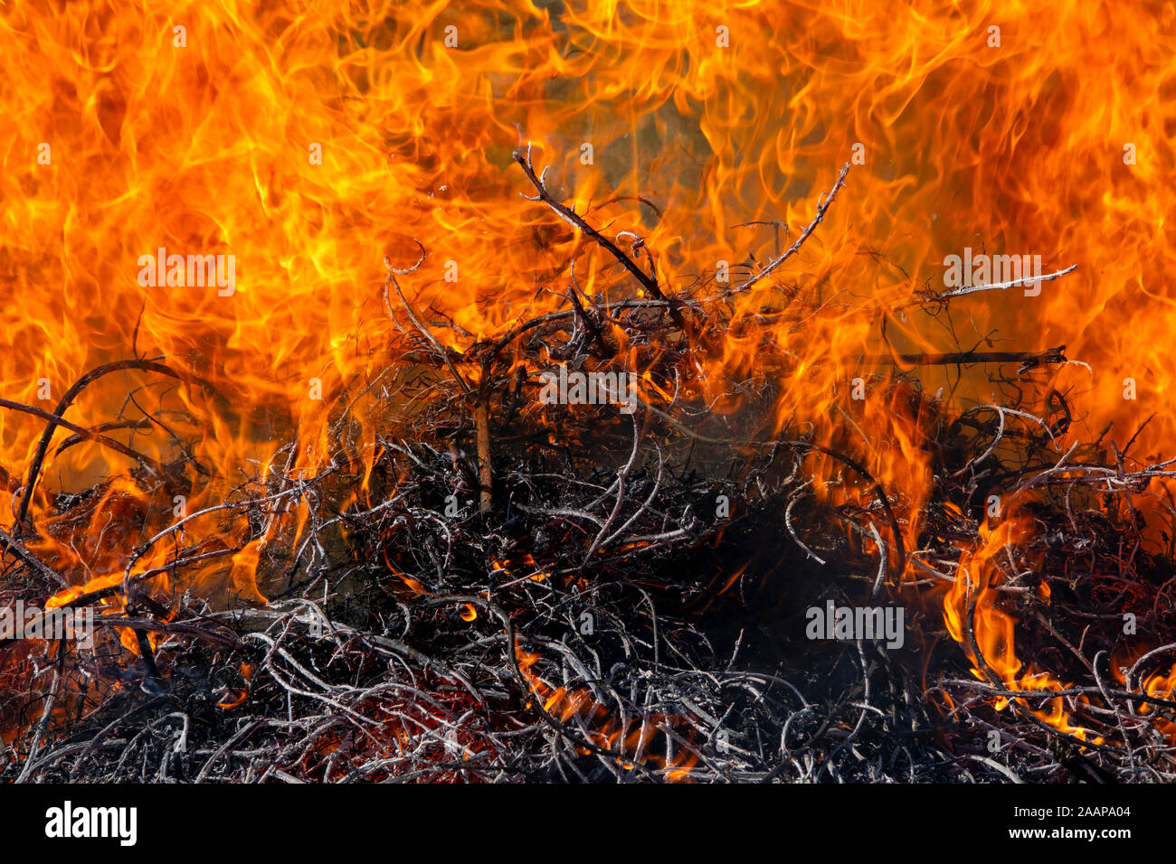 Close up of an Outdoor wood fire Stock Photo