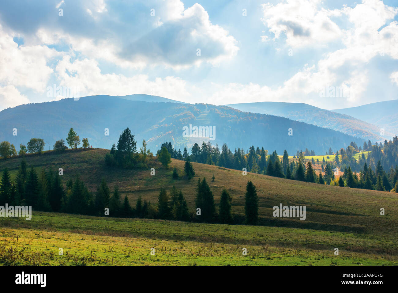 rural area of carpathian mountains in autumn. wonderful landscape of borzhava mountains in dappled light observed from podobovets village. agricultura Stock Photo