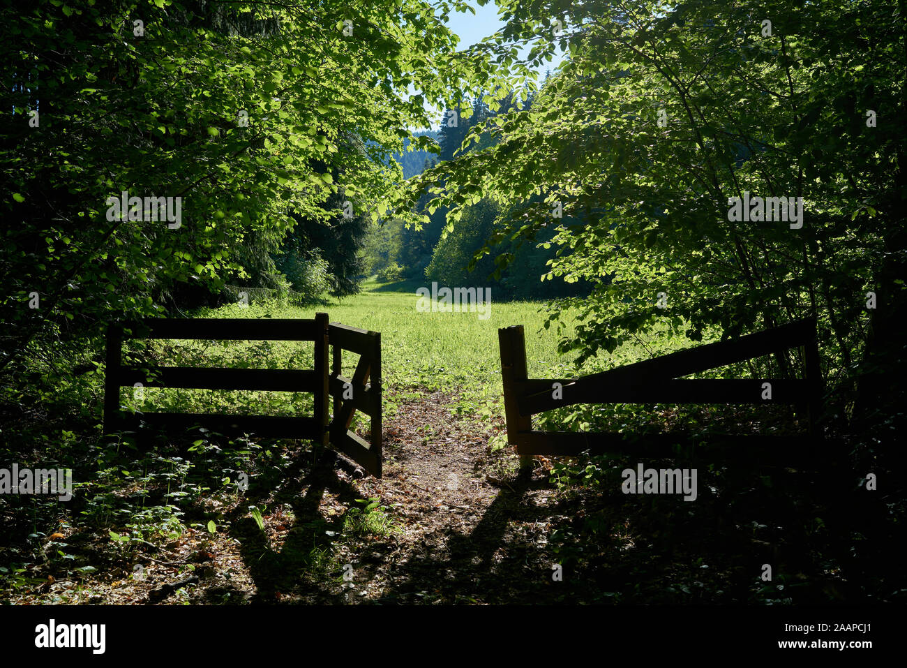 Gate and meadow on a hiking trail near Friedrichsroda in the Thuringian Forest Stock Photo