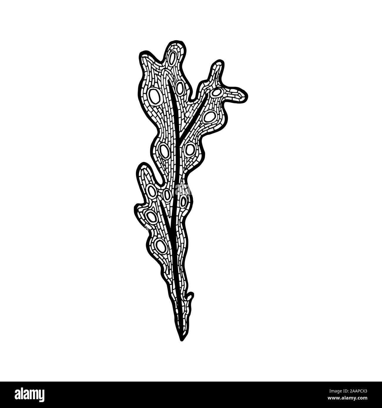 Vector illustration of hand drawn Fucus algae. Coloring page book for adult Stock Vector