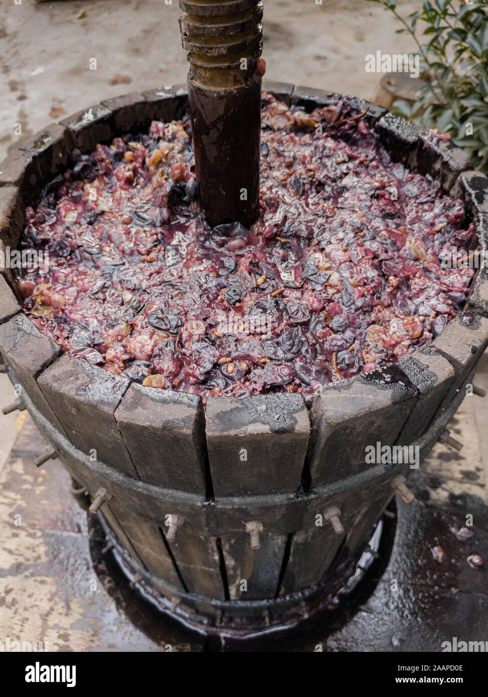 Making wine at home. Old wooden wine press Stock Photo