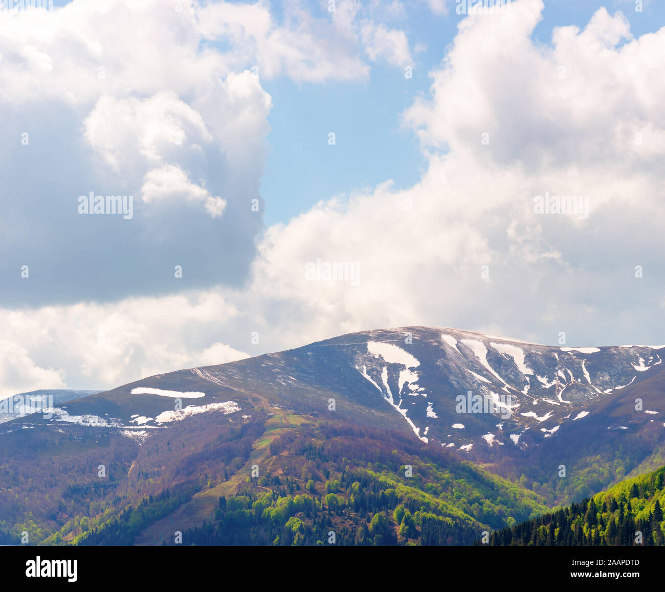 mountain hymba landscape  in springtime. part of borzhava ridge of ukrainian carpathians located in transcarpathia. summit with spots of snow. forest Stock Photo