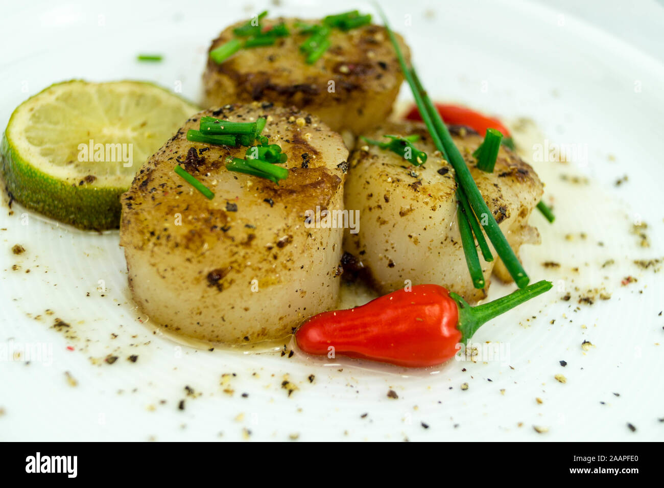 fried saltwater seashells pectinidae with herbs and spices Stock Photo ...