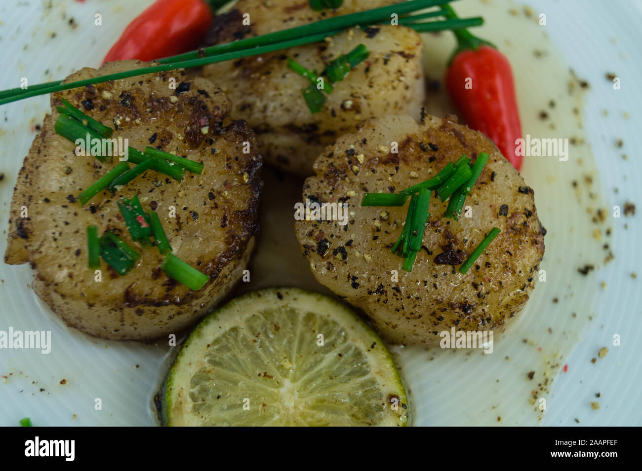 fried saltwater seashells pectinidae with herbs and spices Stock Photo ...