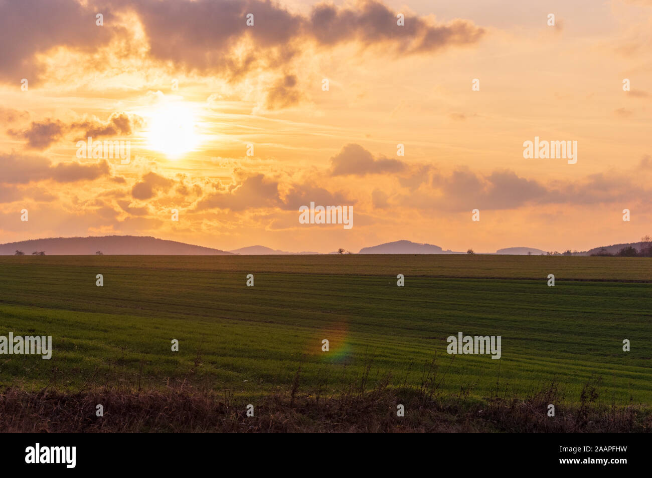 sunset over green field with yellow sky and clouds Stock Photo