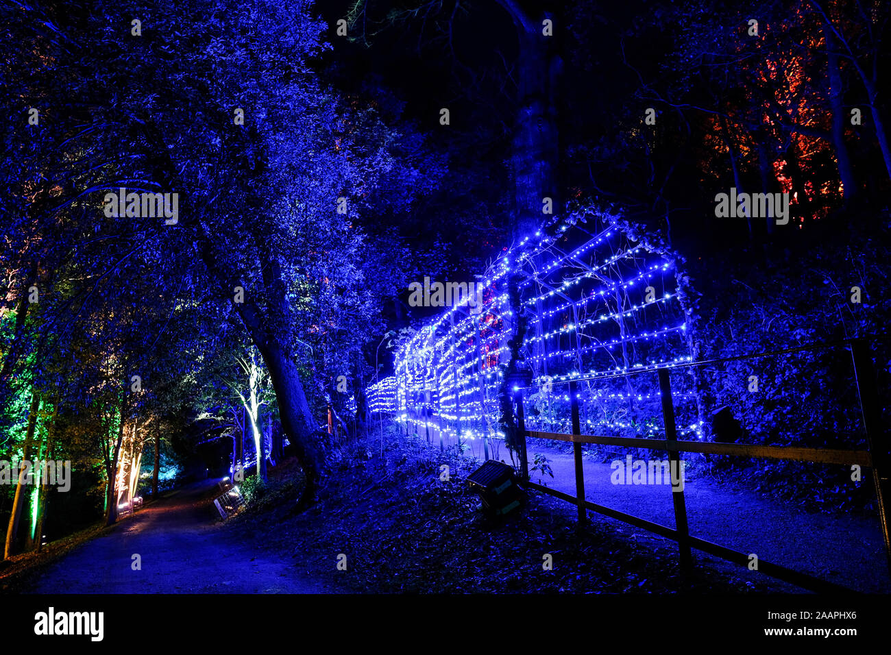 The opening night of the Festive Illuminated Light Trail at Blenheim