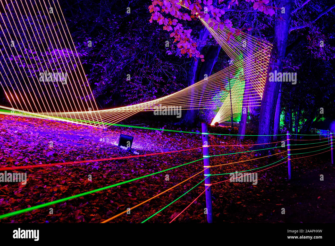 The opening night of the Festive Illuminated Light Trail at Blenheim