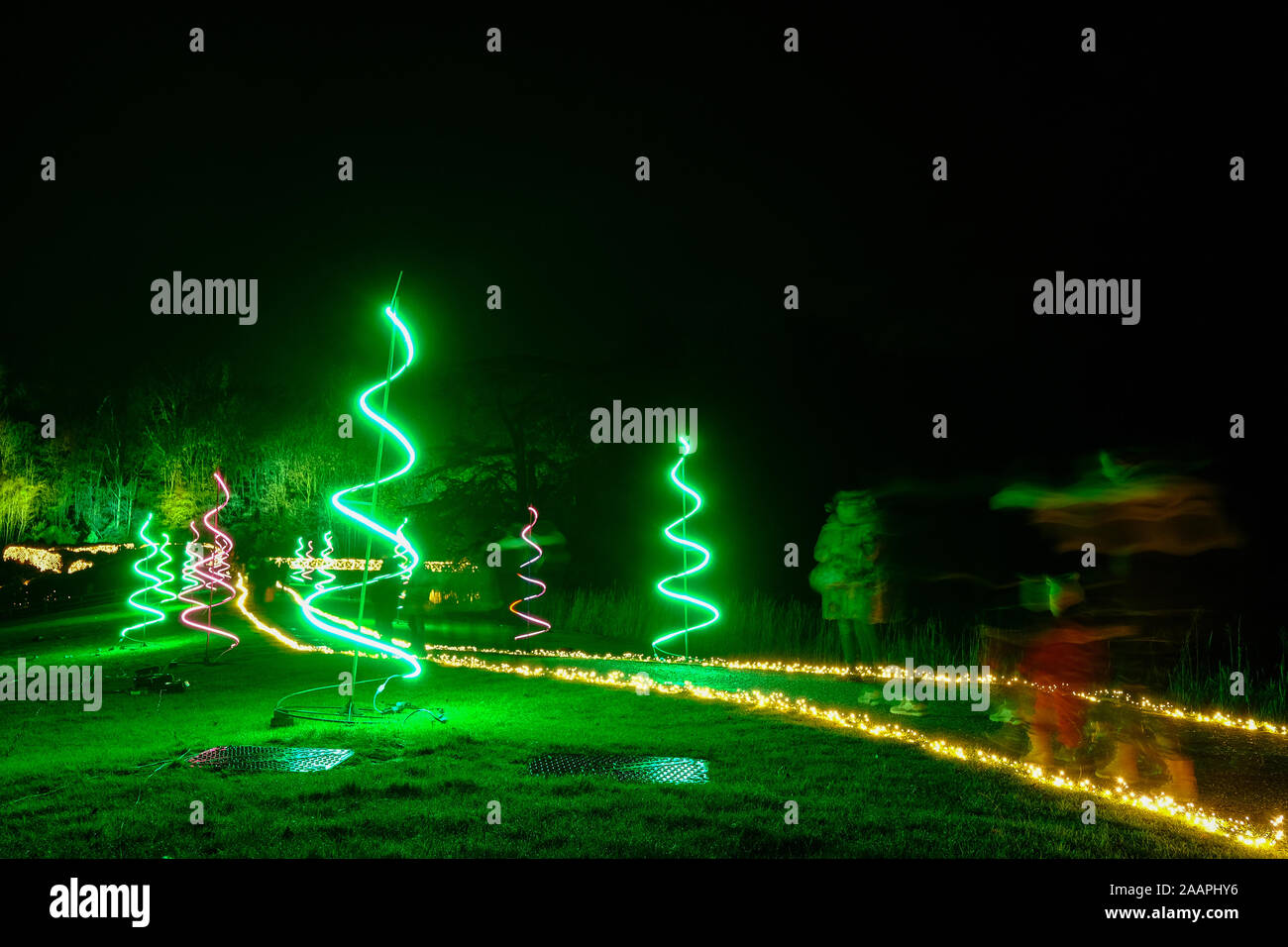 The opening night of the Festive Illuminated Light Trail at Blenheim