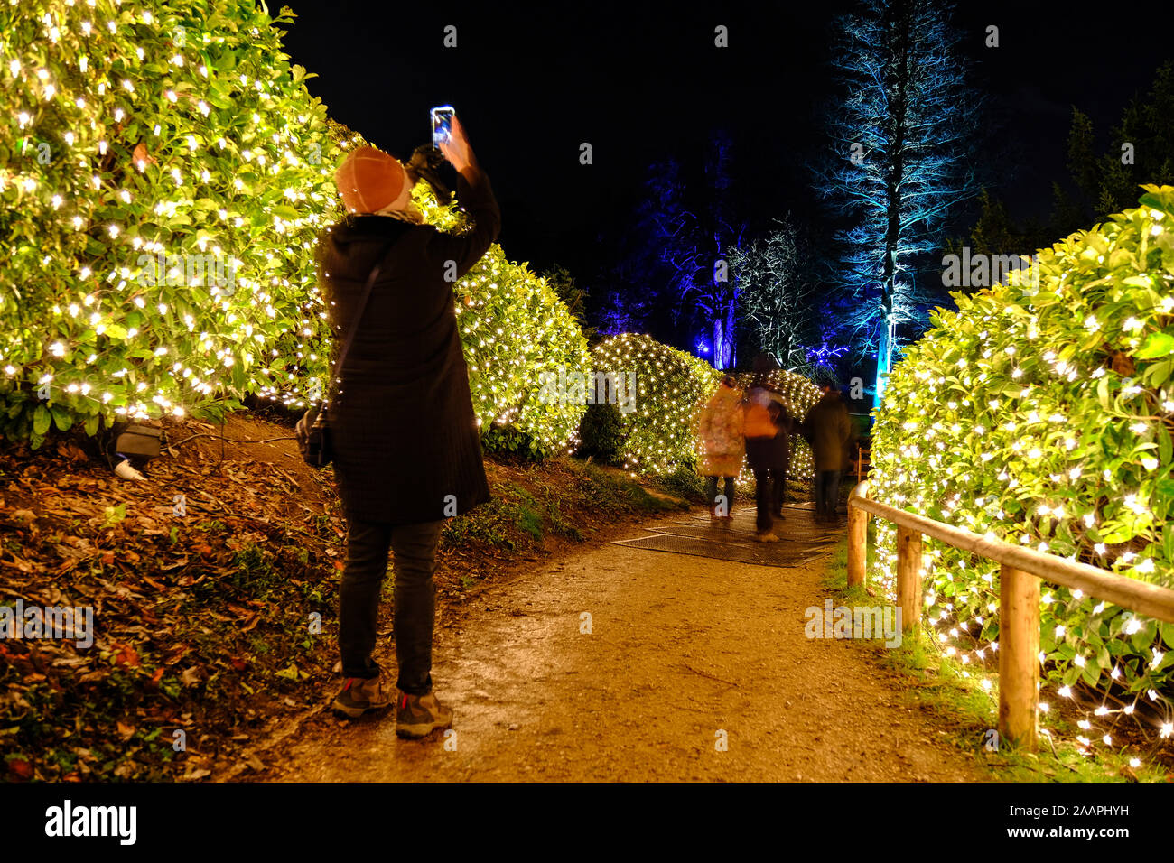 The opening night of the Festive Illuminated Light Trail at Blenheim