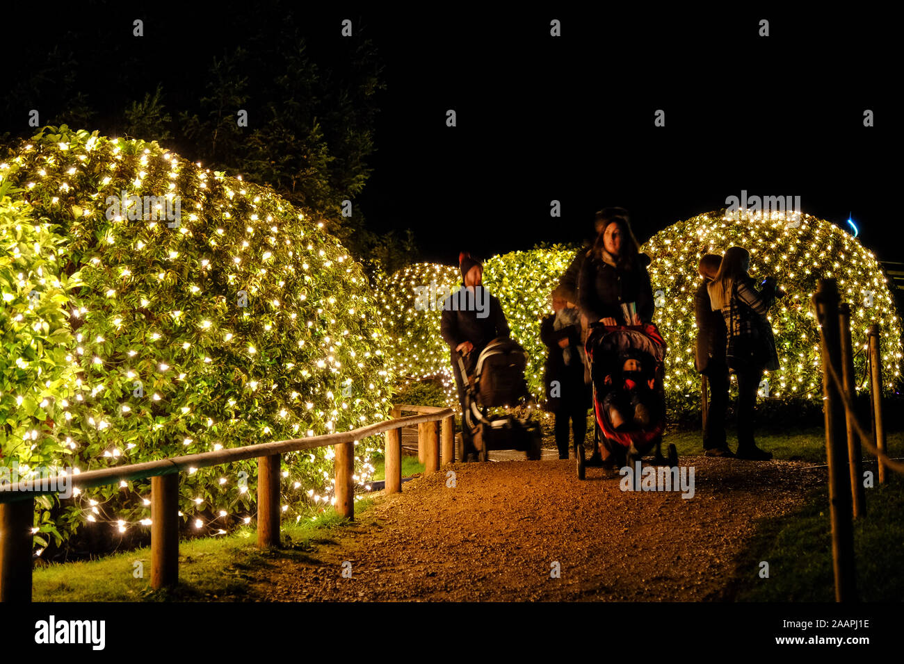 The opening night of the Festive Illuminated Light Trail at Blenheim