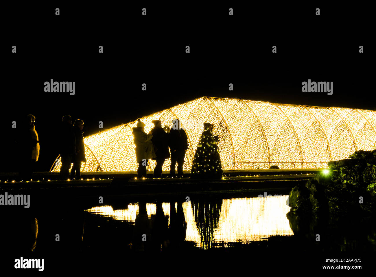 The opening night of the Festive Illuminated Light Trail at Blenheim
