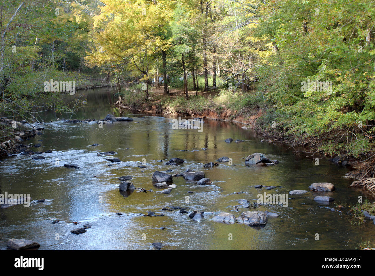 The Eno River flowing through a forest in Eno River State Park, North Carolina, USA, on a sunny day Stock Photo