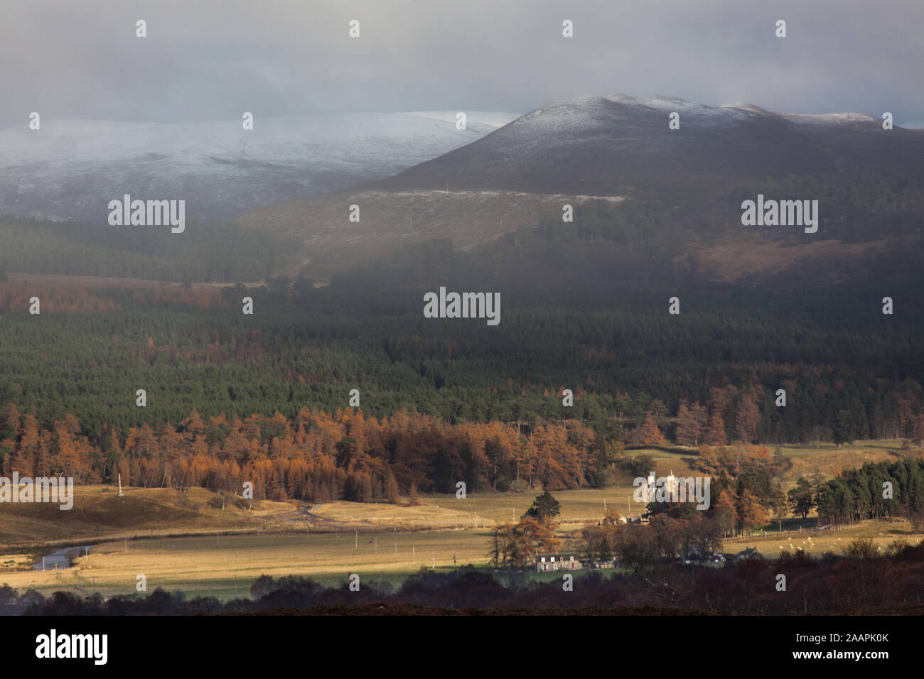 Area of Braemar, Scotland. Picturesque winter view of snow approaching the Cairngorm Mountains, near the village of Braemar. Stock Photo