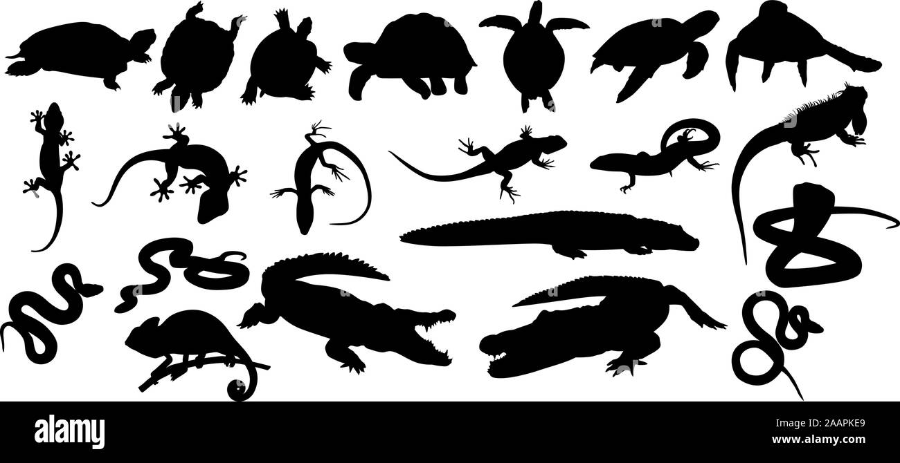 Reptile Animals black vector silhouettes Stock Vector