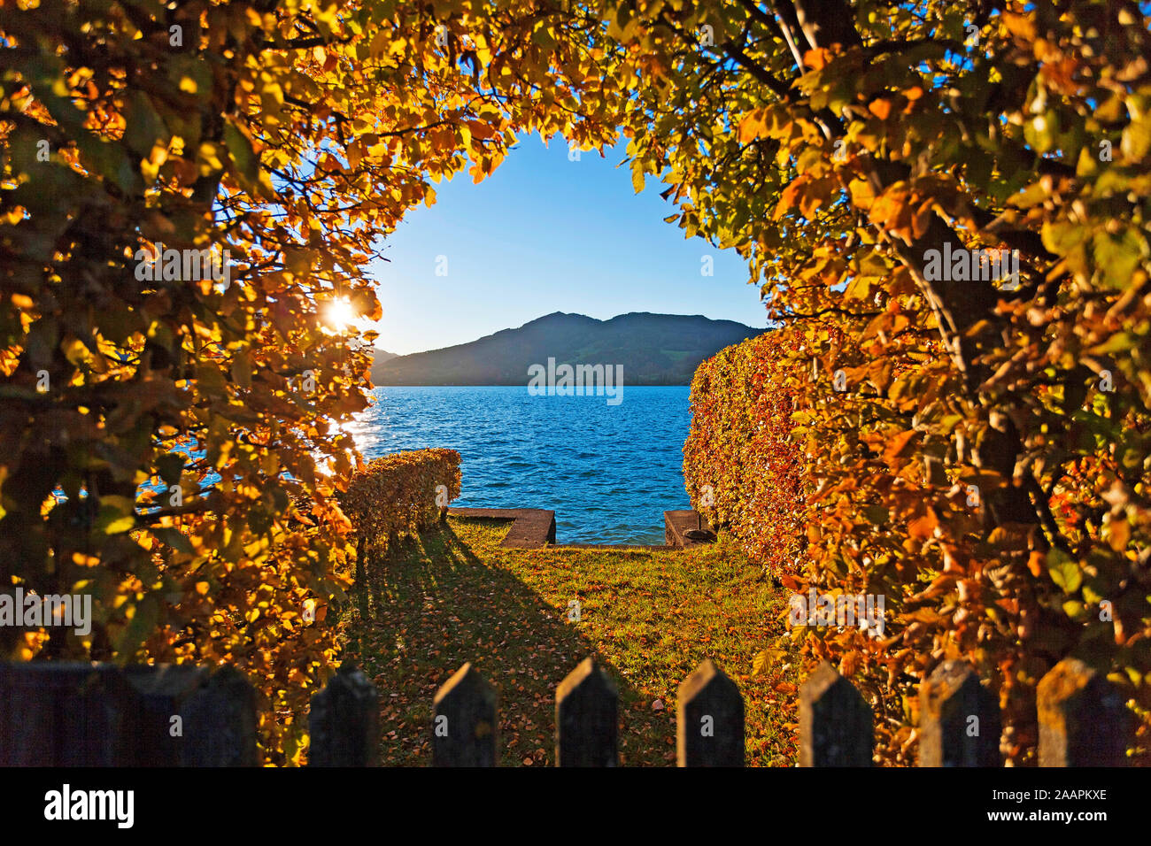 Oesterreich Attersee Herbst Herbstlandschaft Stock Photo Alamy