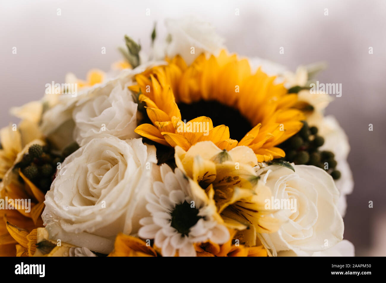 Close Up Photo Of Wedding Bouquet Of Sunflowers And Roses Stock Photo Alamy