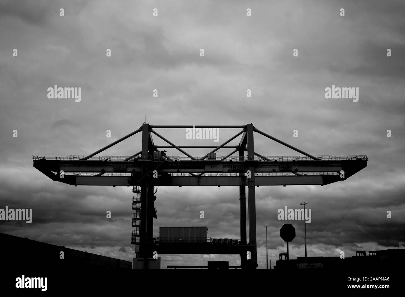 Heavy lift container cranes Black and White Stock Photos & Images - Alamy