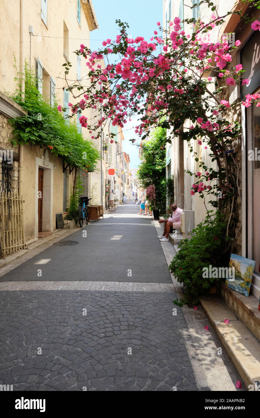 Small picturesque street in Antibes old town with floweers in bloom Stock Photo