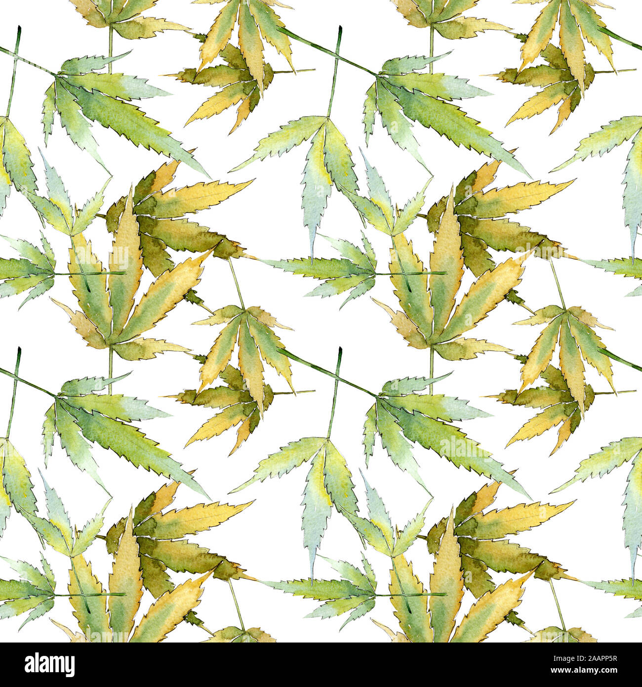 Cannabis Green Leaves Watercolor Background Illustration Set