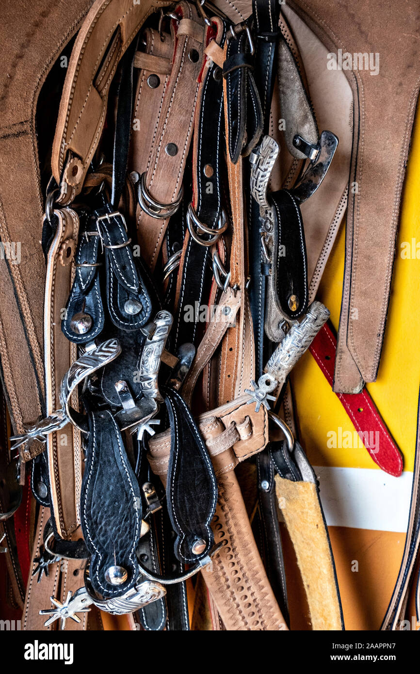 Horse saddles and bridles at a leather shop in Santiago Tuxtla