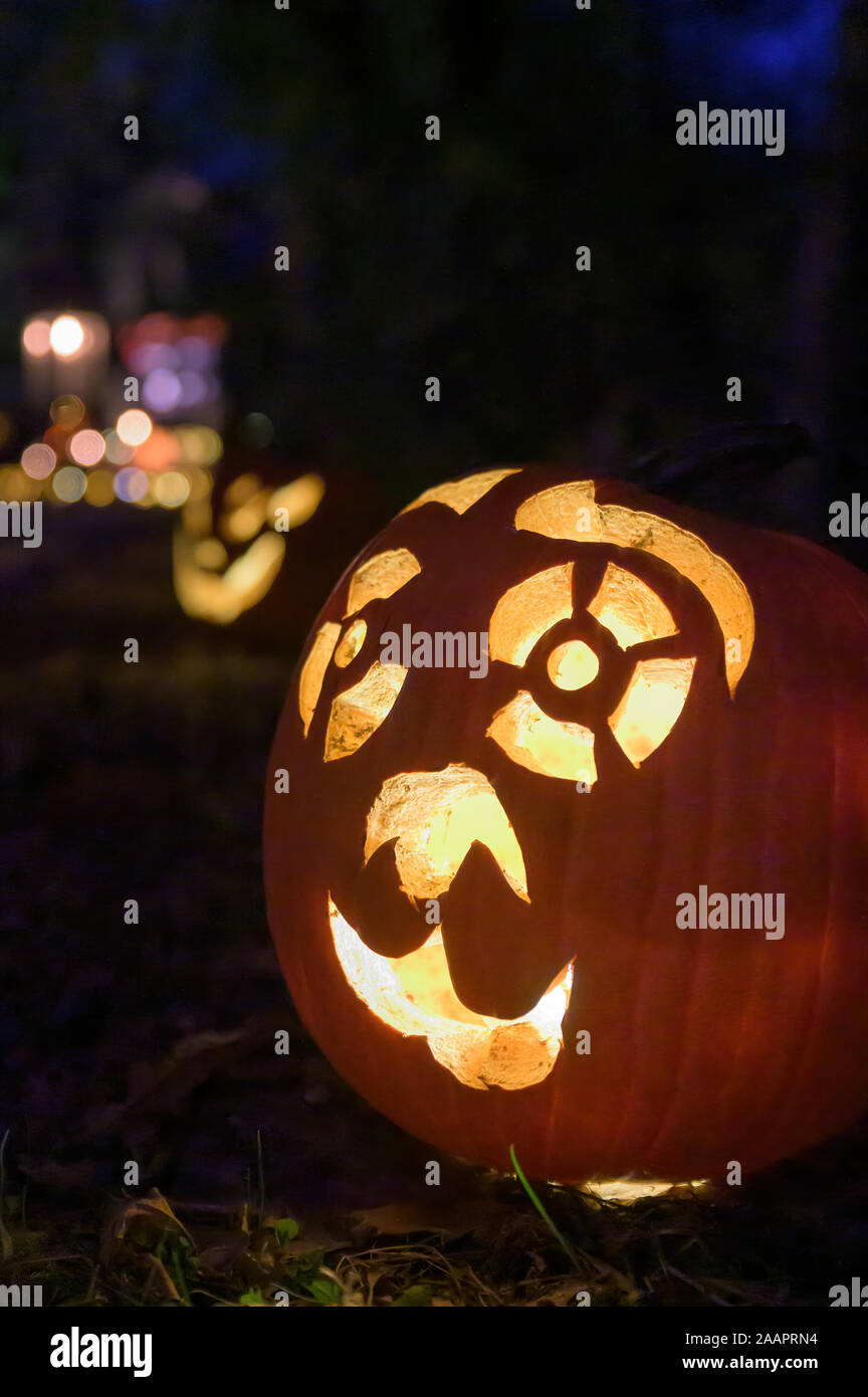 An illuminated carved pumpkin, ready for Halloween Stock Photo