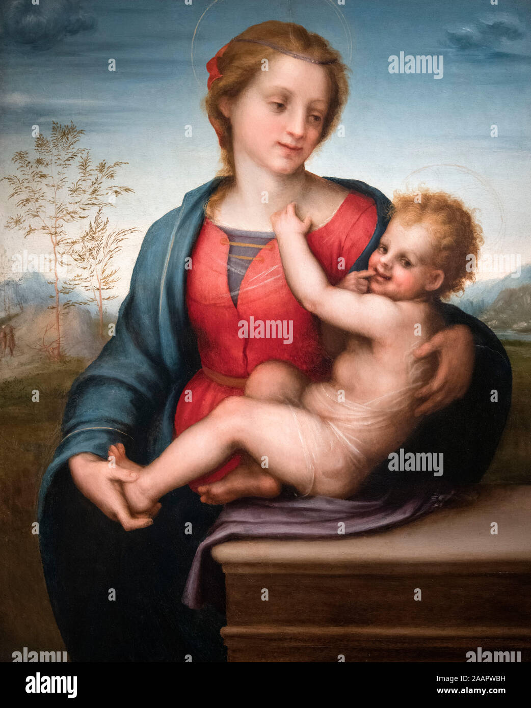 Virgin and Child by Andrea del Sarto (1486-1530), oil on panel, 1509/10 Stock Photo