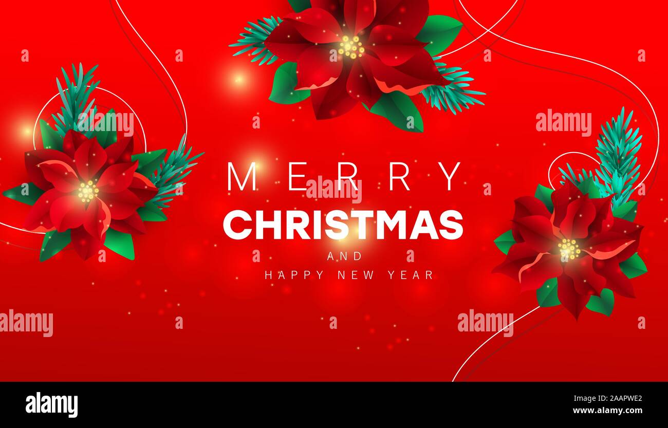 Creative banner with red poinsettia flowers and text on a red burgundy background for poster