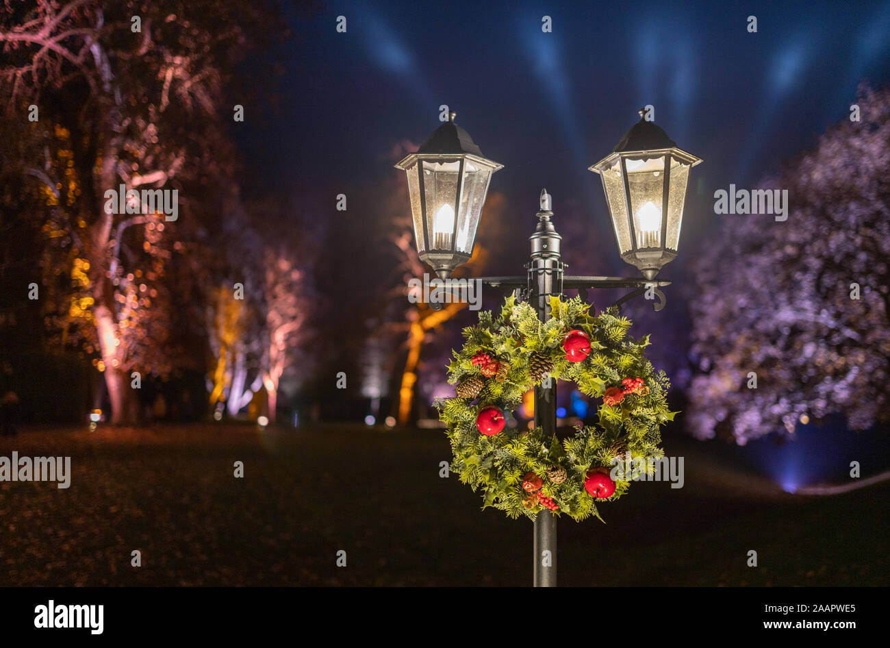 A Christmas wreath hanging on a street light, with a purple glow of Christmas lights in the background trees Stock Photo