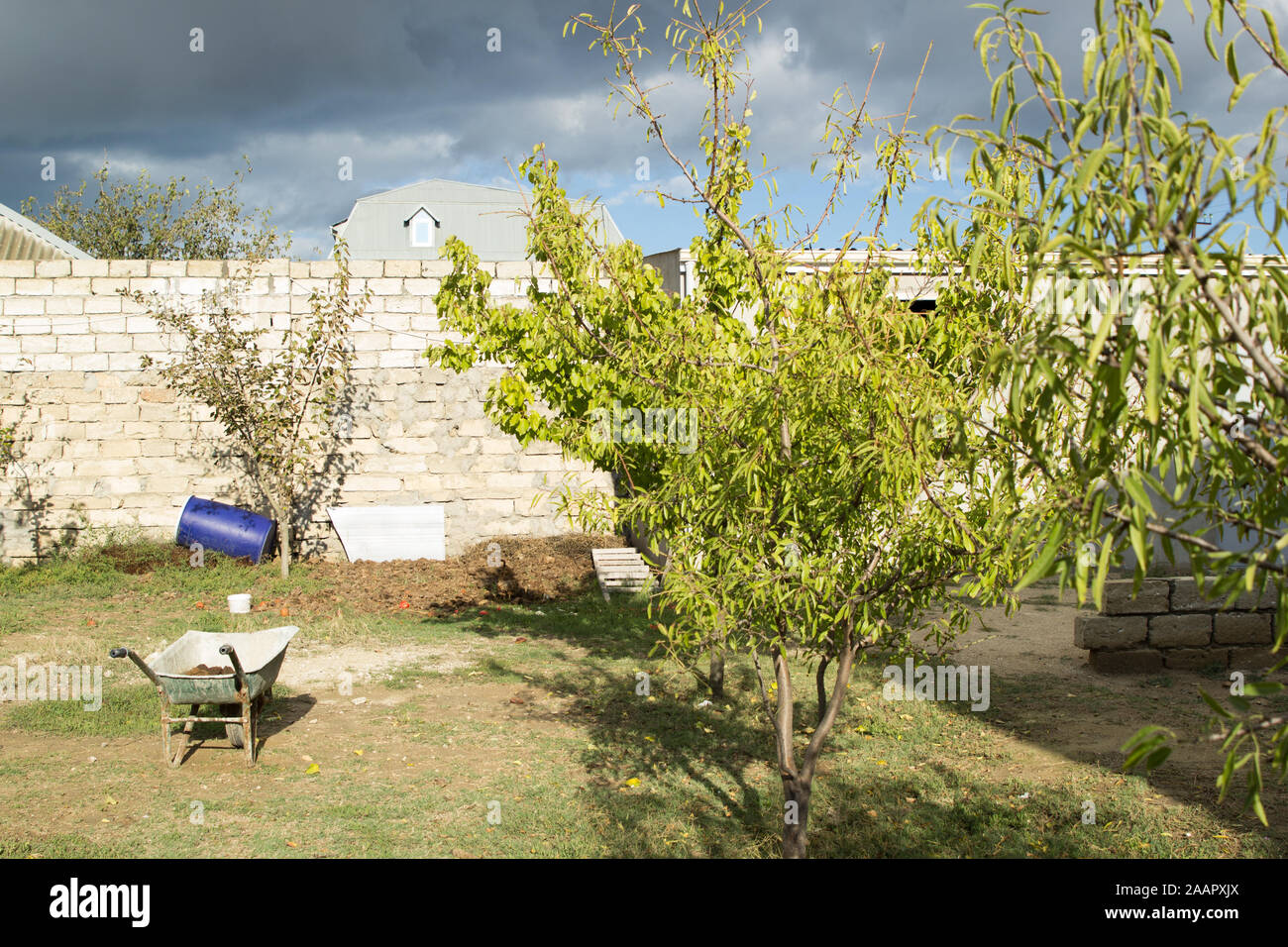 Back yard with fruit trees, brick fence and grey clouds in the sky Stock Photo