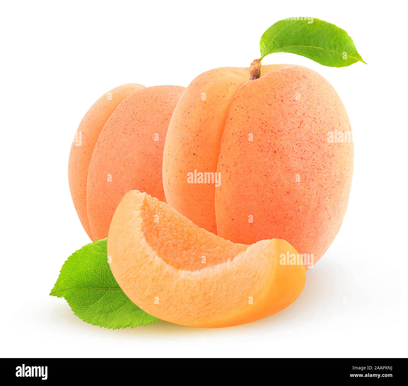 Isolated apricots. Two whole raw apricot fruits and a slice isolated on white background with clipping path Stock Photo