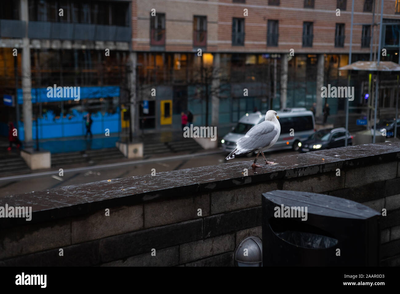 Oslo, Norway, November 23, 2019 Photos of the central station in Oslo Stock Photo Alamy