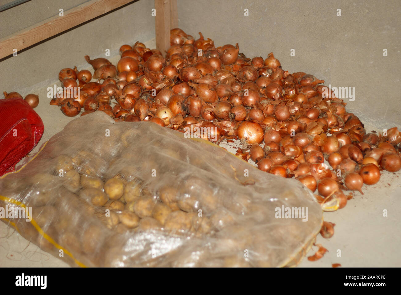 Harvest of onions and potatoes in bag on the floor in the barn Stock