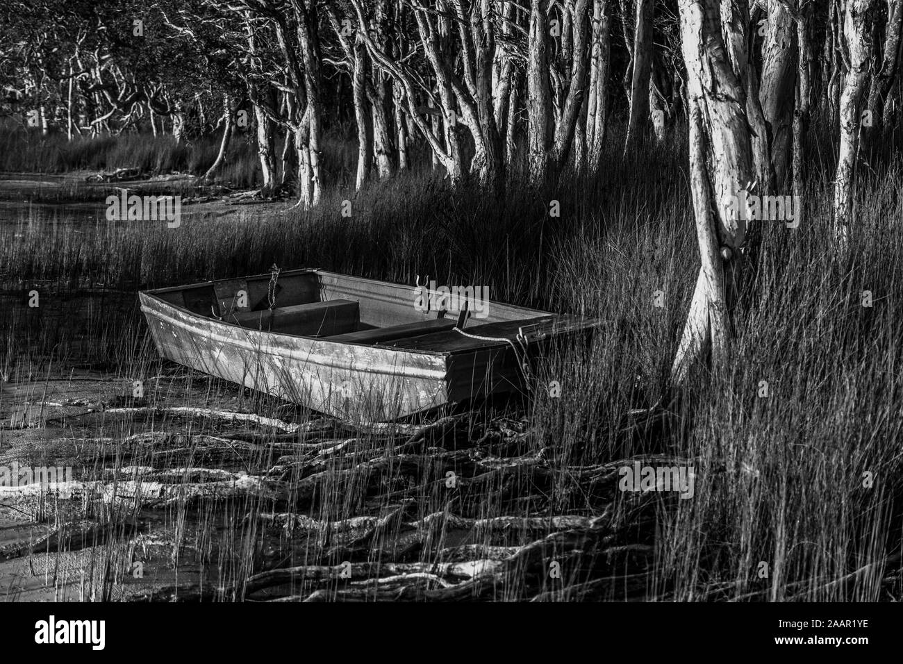 Abandoned tinny , dinghy, Myall Lake NSW Stock Photo