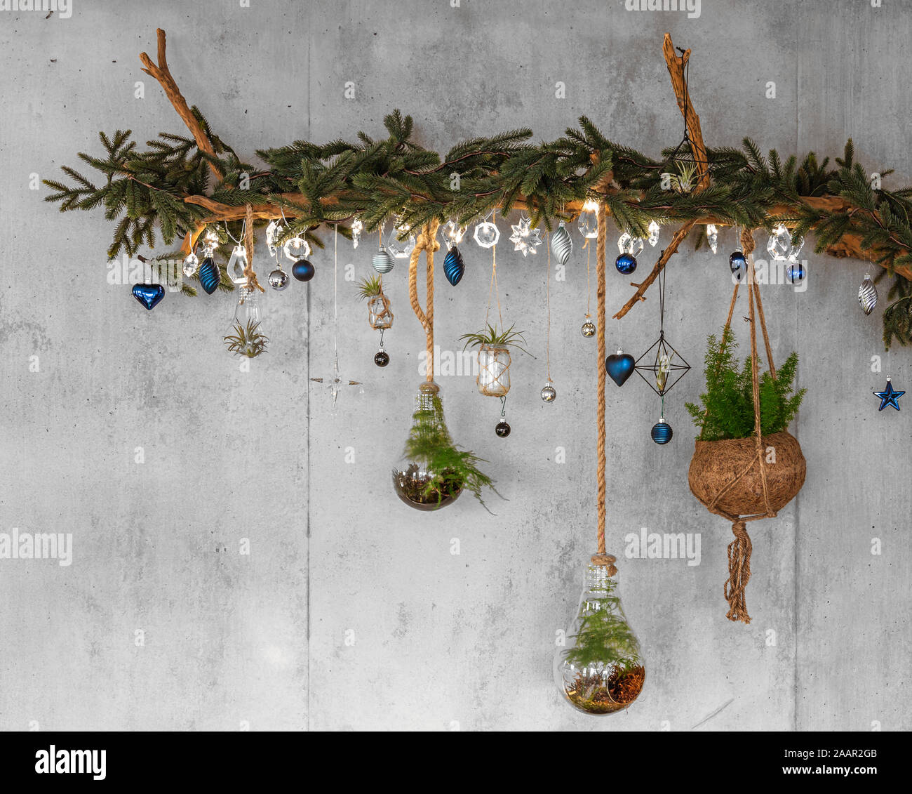 Decorative Wooden Branch with fir branches and hanging blue christmas baubles, silver lights like snowflakes, fern and air plant, on a modern cement o Stock Photo