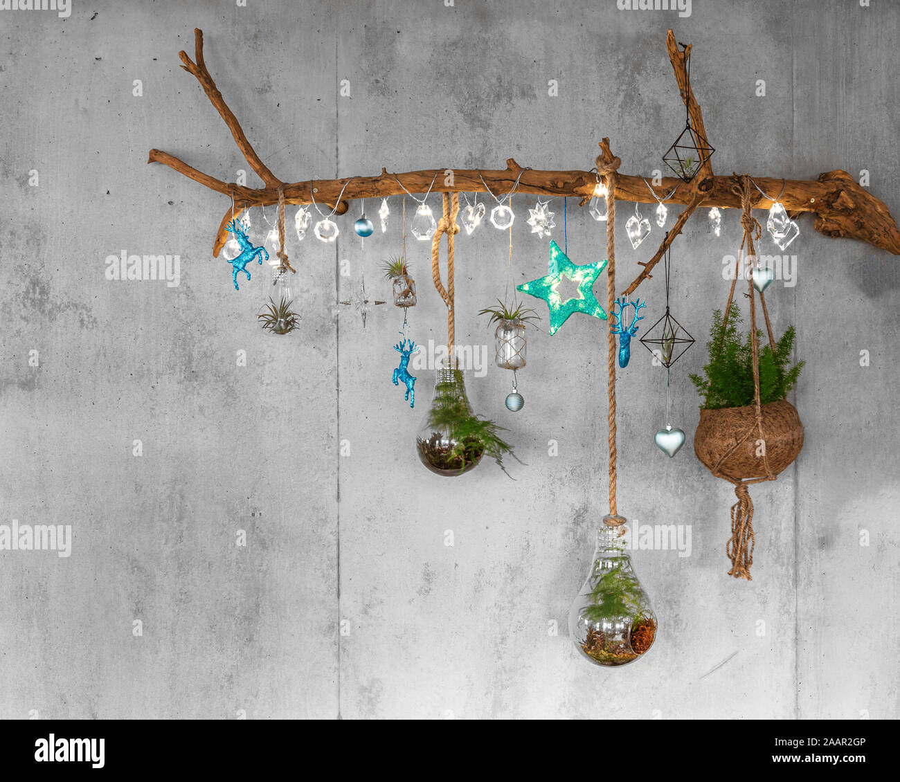 Decorative Wooden Branch with fir branches and hanging teal christmas baubles, silver lights like snowflakes, fern and air plant, on a modern cement o Stock Photo