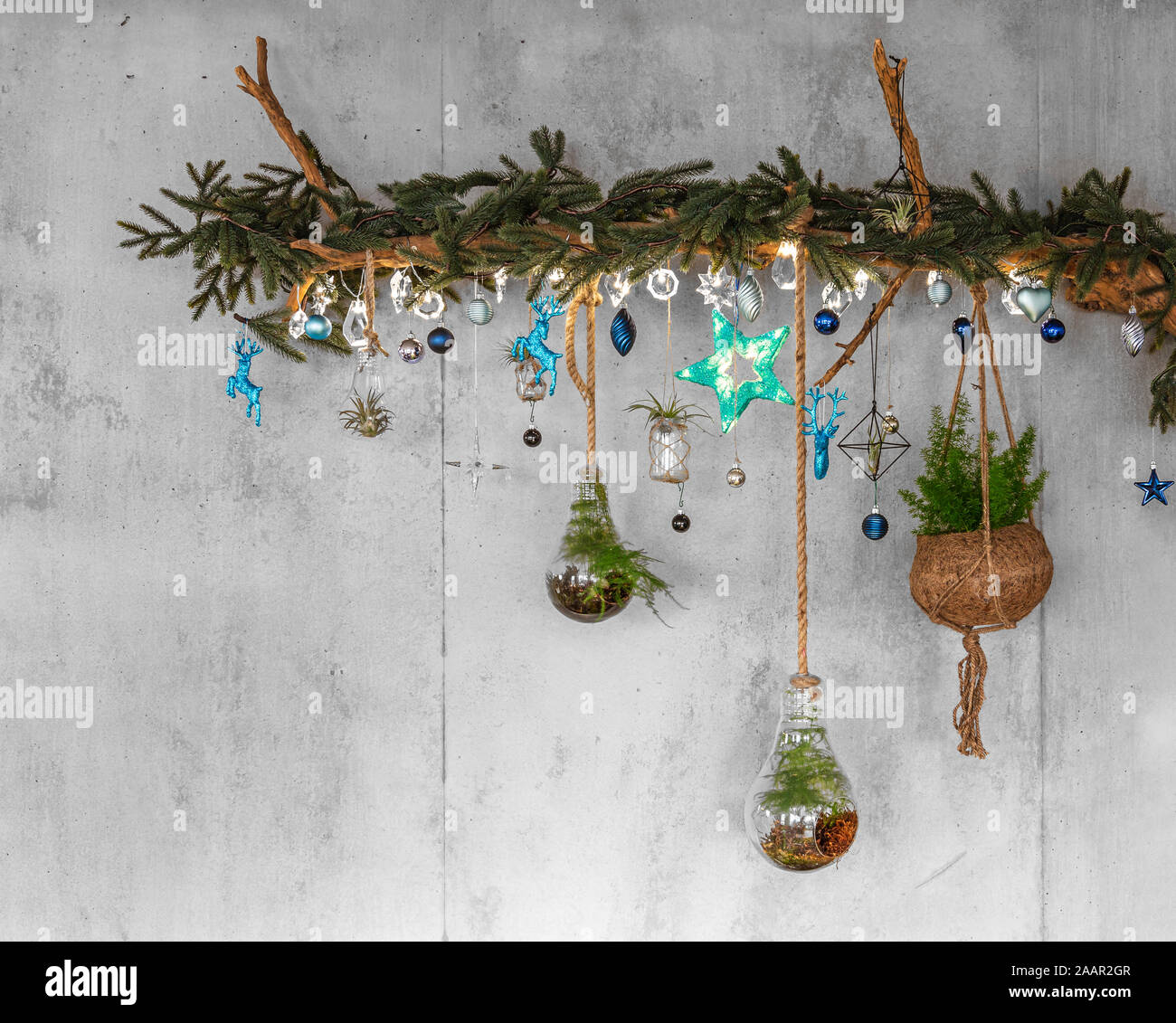 Decorative Wooden Branch with fir branches and hanging teal christmas baubles, silver lights like snowflakes, fern and air plant, on a modern cement o Stock Photo