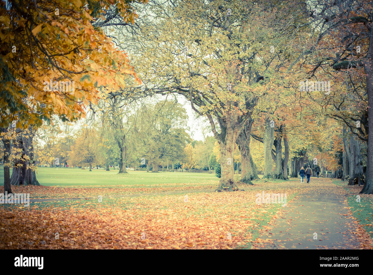 Beautiful caucasian elderly couple in the park in autumn Stock Photo