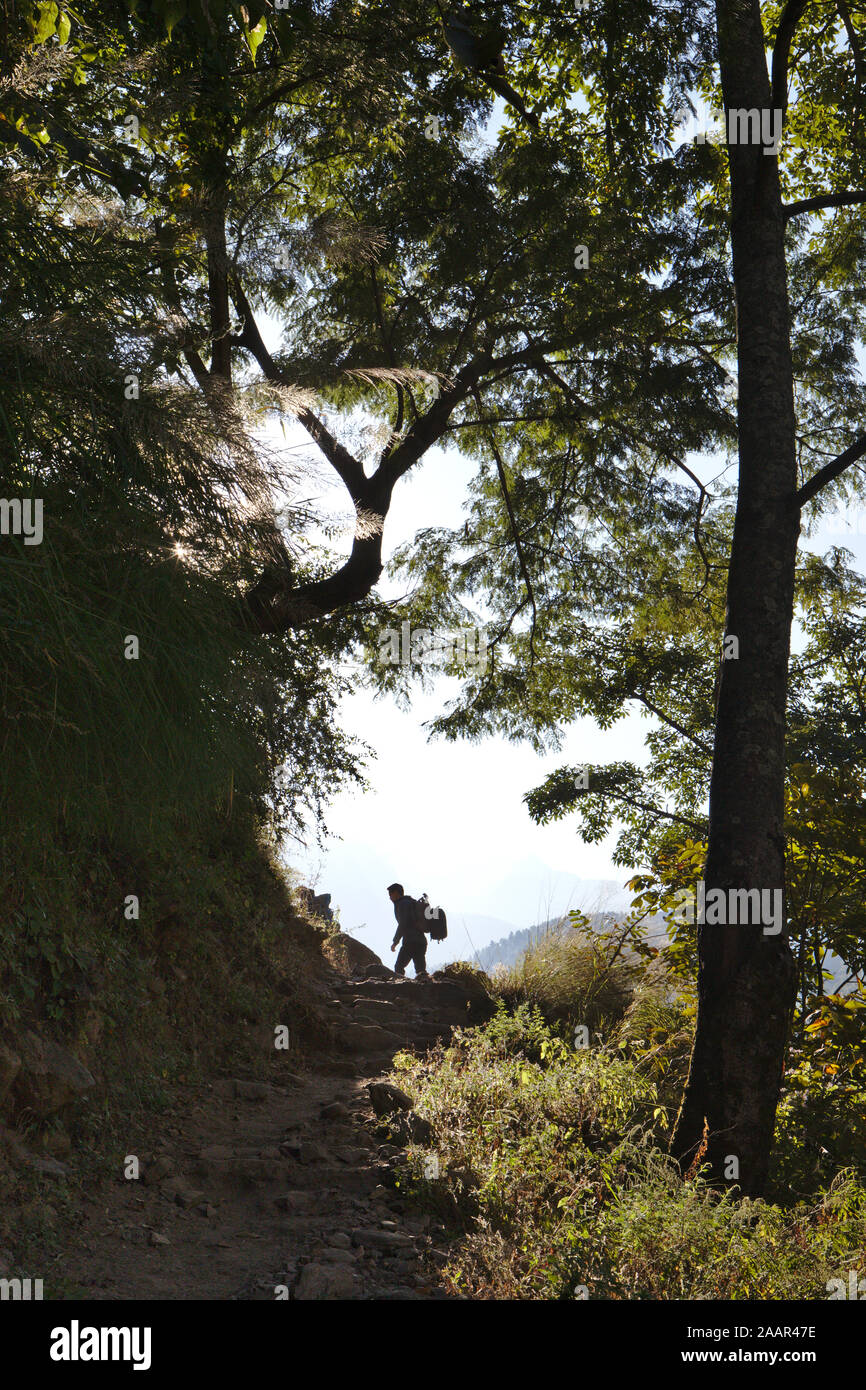 Man trees silhouette hi-res stock photography and images - Alamy