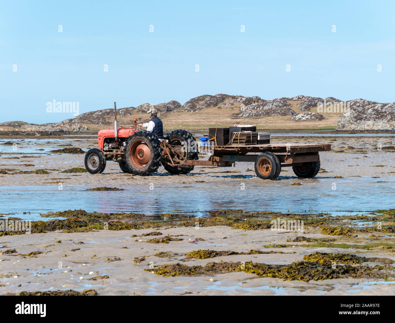 Old, red Massey Ferguson tractor and trailer on the beach near the Oyster farm, The Strand, The Isle of Colonsay, Scotland, UK Stock Photo