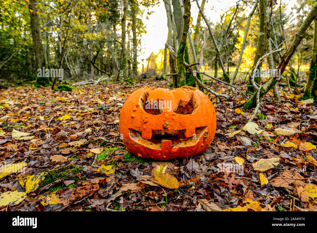 Jack carved deals pumpkin