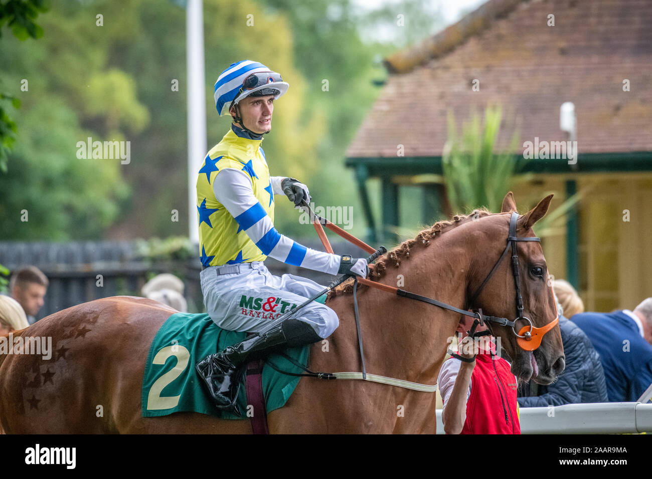 A Jockey Rides Confidently Atop a Horse at Ripon Races , Yorkshire UK ...
